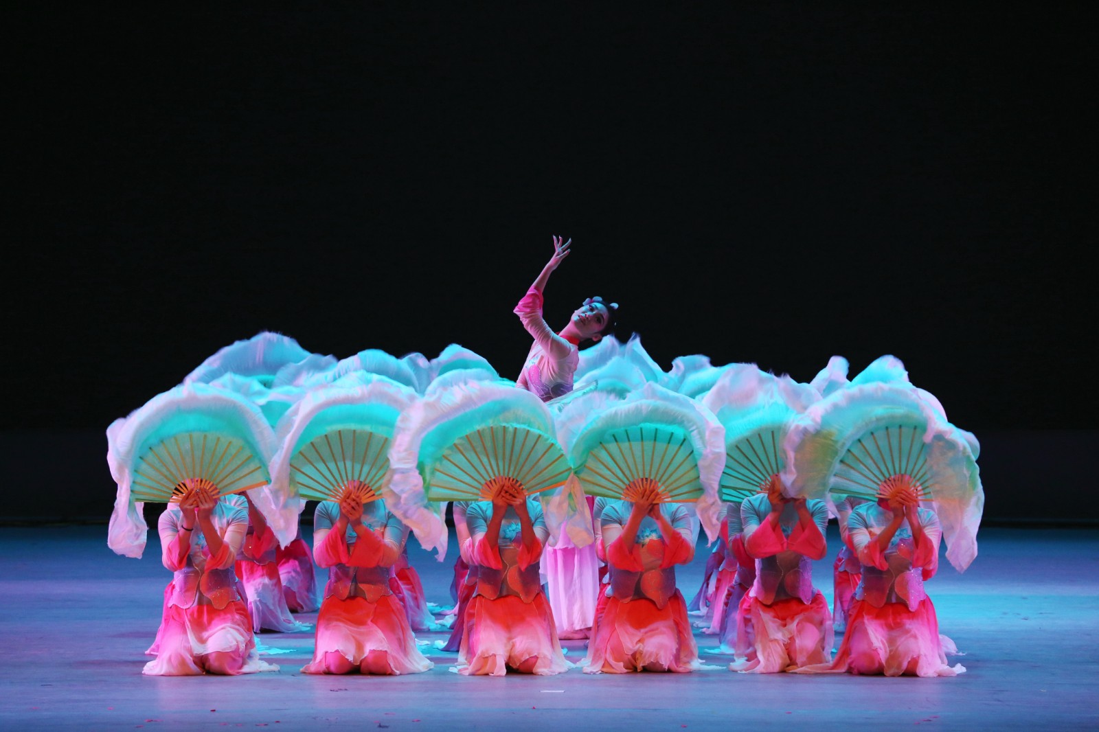 图4.出水莲1.jpg